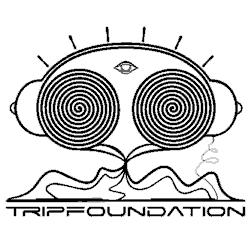 Logo Synticate